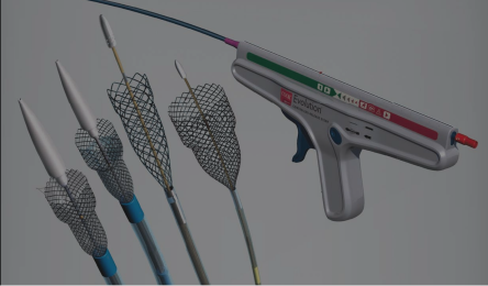 Evolution®family of stents